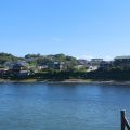 IMG_20260529_154234_817.jpg