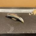 IMG_4122.HEIC