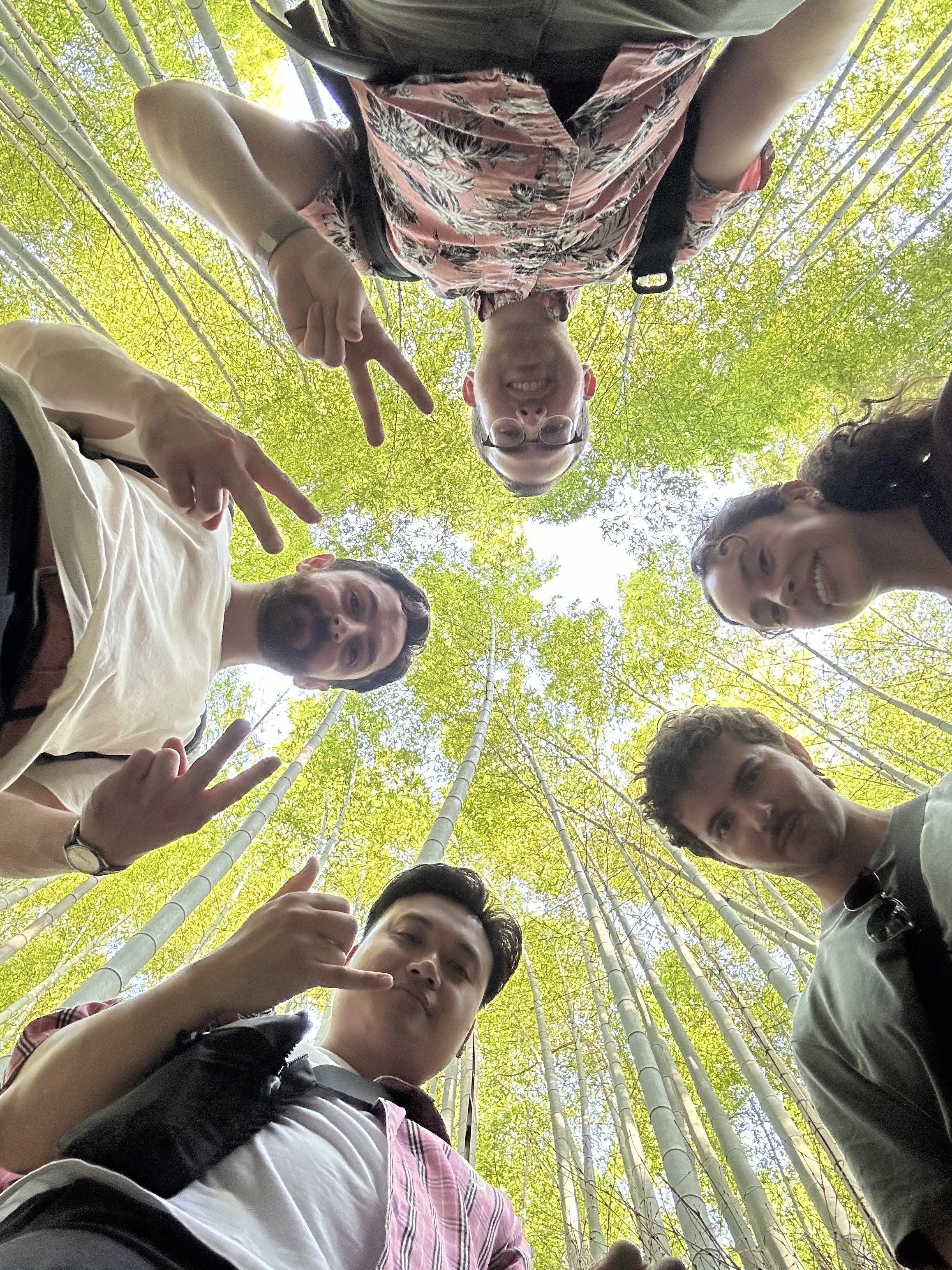 Looking up together through the Arashiyama bamboo grove